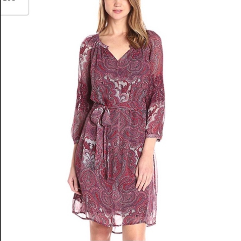 Lucky Brand Paisley Chiffon Feminine Wine,Gray, Red Medium Dress with Full Slip